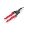 Felco 5 Snoeischaar 1 Felco 5 Snoeischaar -Tuinbenodigdheden Verkoop 2024 7253 0 800x800 1