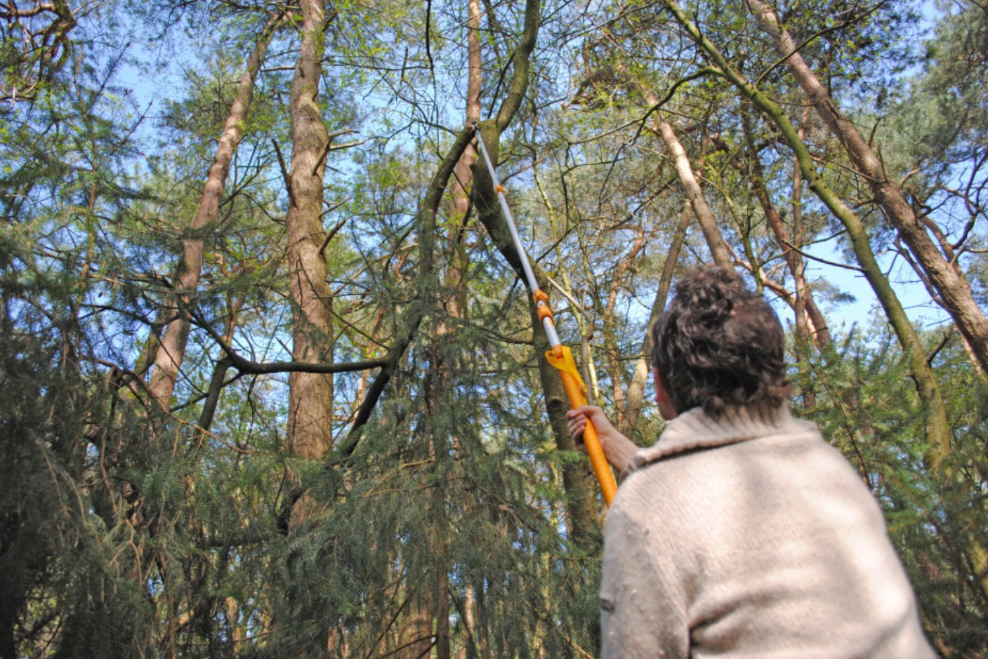 Gazebo Parts Direct Sales Store 37 Gazebo Parts Direct Sales Store -Tuinbenodigdheden Verkoop 2024 Dingtalk 20240520135755