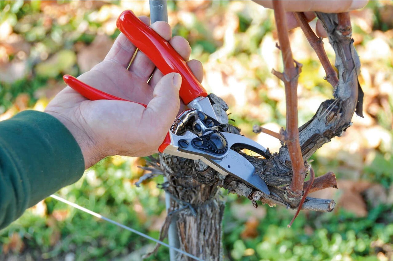 Gazebo Parts Direct Sales Store 10 Gazebo Parts Direct Sales Store -Tuinbenodigdheden Verkoop 2024 Dingtalk 20240520140055